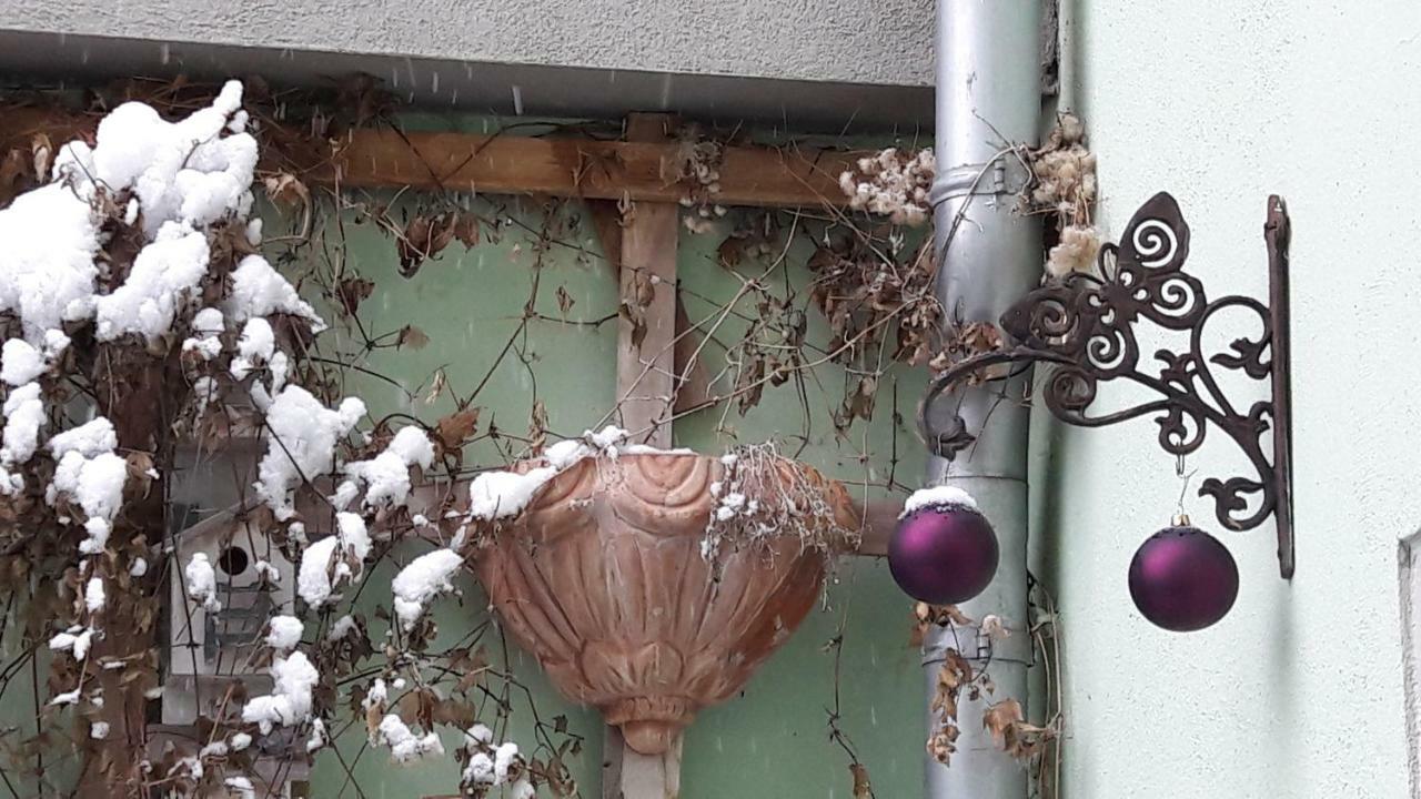 Zum Kleinen Riesen Apartment Erfurt Ngoại thất bức ảnh